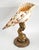 Buccellati Seashell Shell Specimen Sculpture on Antique Brass Koi Fish Base For Sale - Image 4 of 10