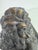 This is a mid 20th century grand tour, Italian lion sculpture. This lion sculpture has a beautiful dark olive green age-...