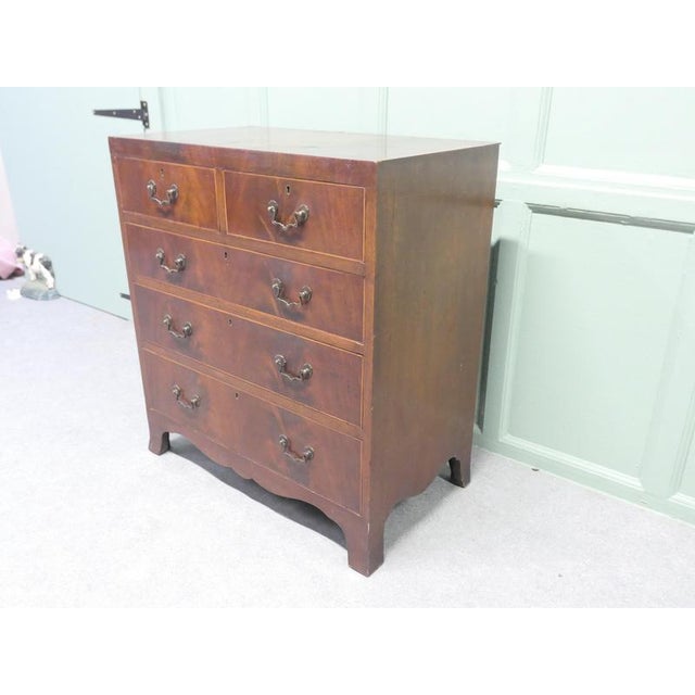 Georgian Style Flame Mahogany Chest of Drawers, 1900s For Sale - Image 3 of 7