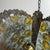 Antique Murano Glass Pendant Lamp, Italy, 1910s For Sale - Image 10 of 18