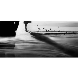 "Chance Encounter" Contemporary Black and White Photograph For Sale