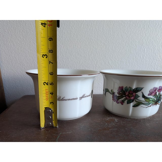 Ceramic Vintage Villeroy & Boch Botanica Porcelain Ramekins ~ Set of 2 ~ Made in Luxembourg For Sale - Image 7 of 9