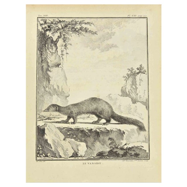 Madeleine Rousselet, Le Vansire, Etching, 1771 For Sale