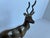 Vintage Mid-Century Modern Brass Antelope / Gazelle Figurine For Sale - Image 6 of 14