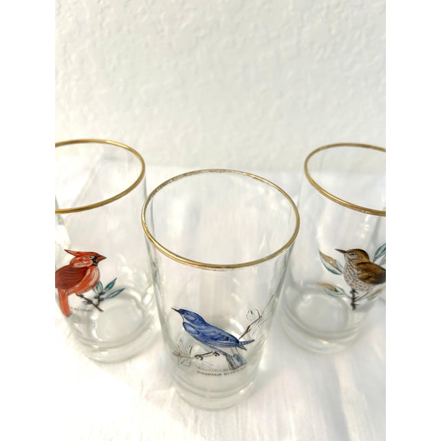 Mid-Century Bird Watcher Highball Glasses, Set of 5 For Sale - Image 4 of 4