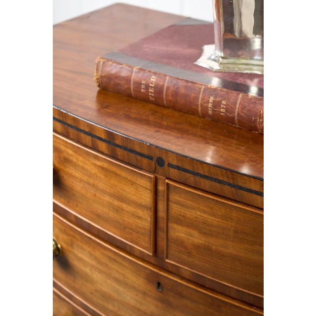 George III Period Mahogany Bowfront Chest With Brass Floral Knobs (C. 1820) For Sale - Image 12 of 15