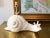 Mid Century Italian Snail Lamp For Sale - Image 10 of 18
