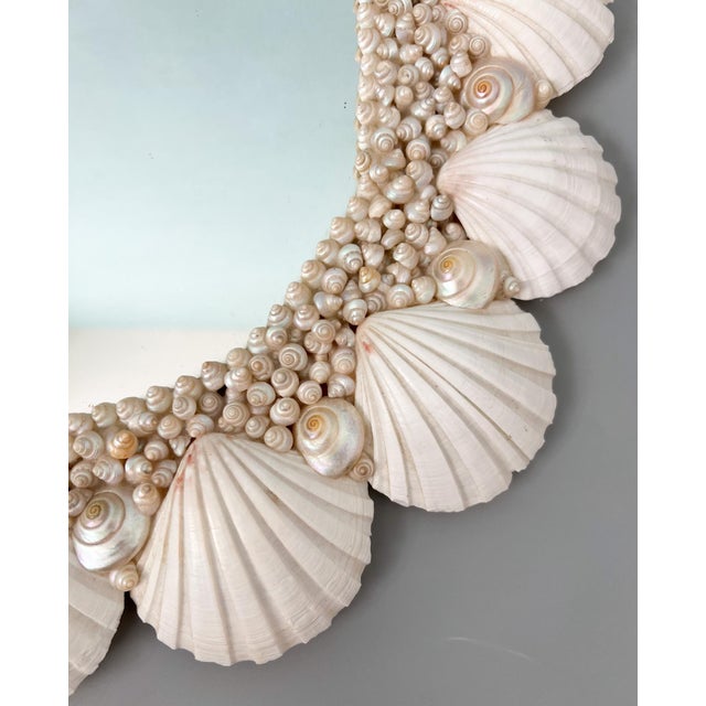 Chelsea House Inc Vintage Coastal Shell Encrusted Wall Mirror – Scallop & Opalescent Sea Shell Frame | Hollywood Regency Coastal Glam For Sale - Image 4 of 13
