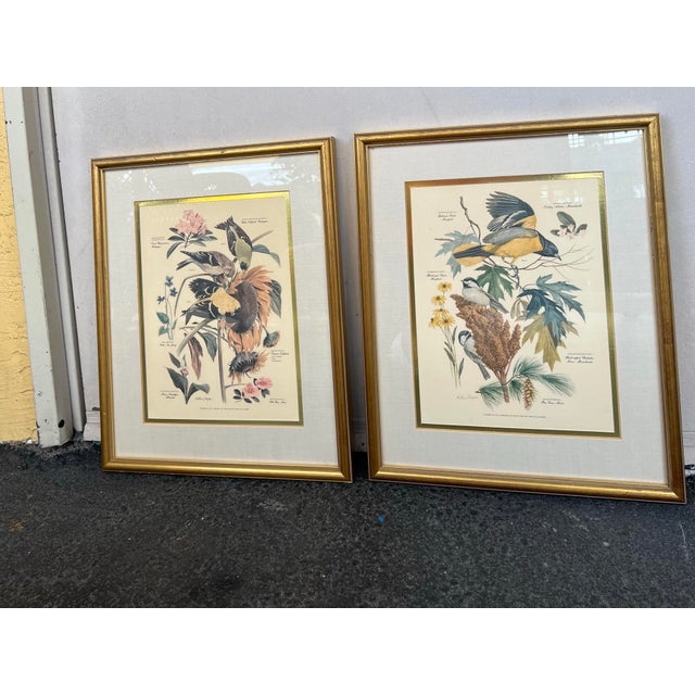 Mid Century Pair of Framed Audubon Bird & Flower Prints Signed Arthur Singer -2 For Sale - Image 4 of 10