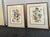 Mid Century Pair of Framed Audubon Bird & Flower Prints Signed Arthur Singer -2 For Sale - Image 4 of 10