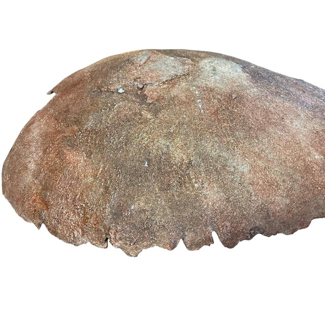 Oversized Hand-Cast Concrete Elephant Ear Leaf Garden Bowl, Birdbath or Centerpiece For Sale In Greensboro - Image 6 of 7