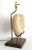 Christa's South Seashells Lamp Plaster Snail Seashell Shell Ammonite Extra Large For Sale - Image 4 of 13