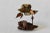 Curtis Jere Mid-Century Modern Brutalist Metal Owl Burl Wood Base Sculpture in the Style of Curtis Jere For Sale - Image 4 of 9