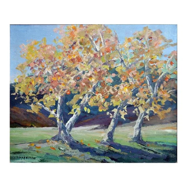 Impasto oil painting of a Carmel Valley Sycamore Grove. Presented in a wood frame. Signed lower left "H. Vanderhoof."...