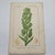 Original 19th-century French botanical lithograph by renowned botanist **Henri Ernest Baillon**, published in Paris...