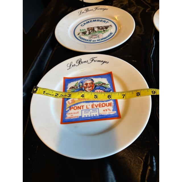 1970s French Provincial Earthenware Cheese Plate Service by Saint Amand - Set of 6 For Sale - Image 9 of 11