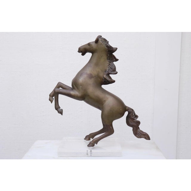 Rearing Horse Sculpture in Bronze on Lucite For Sale - Image 11 of 11