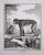 18th Century Original French Monkey Engraving by Buffon 1789 For Sale - Image 4 of 8