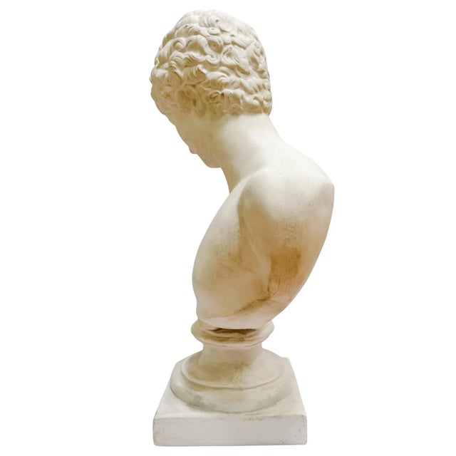 Late 20th Century Large Scale Antinous Plaster Bust For Sale - Image 5 of 9