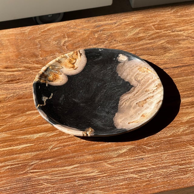 Black Small Trinket Tray or Dish in Black and Beige Petrified Wood, 1980s For Sale - Image 8 of 11