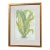 Late 20th Century Framed Botanical Fern Print by W. King Ambler For Sale