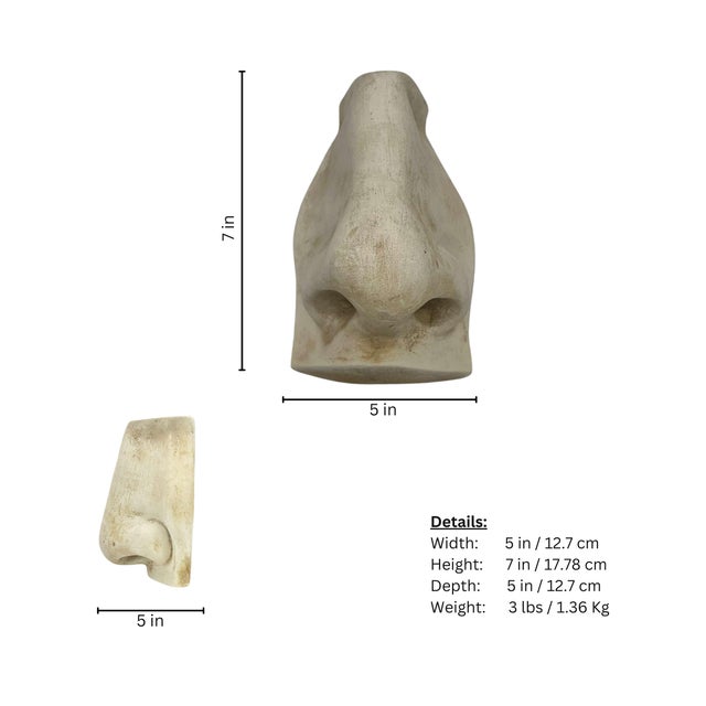 Plaster Cast of David's Nose Sculpture Wall Art For Sale In Miami - Image 6 of 6