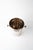 Berndorf champagne bucket alpaca around 1920s ( marked ) Only Polished