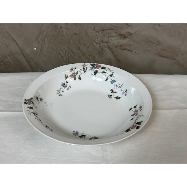 Dinner Plates from Limoges, 1900, Set of 27 For Sale - Image 14 of 16