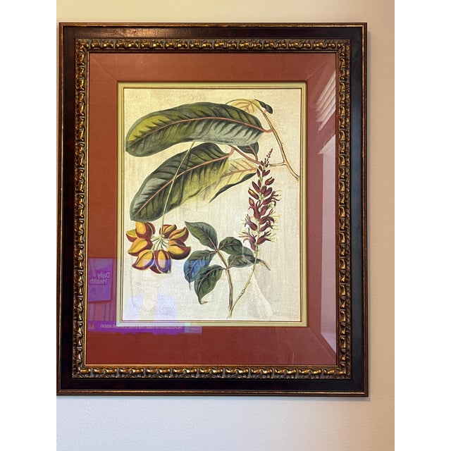 Gold & Leather Framed Botanicals "Foliage, Flowers & Fruit" by John Richards- Set of 3 For Sale In Los Angeles - Image 6 of 11