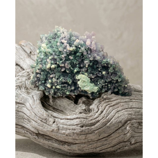 A one-of-a-kind natural bi-color botryoidal agate specimen, commonly known as grape agate, featuring a quiet transition of...