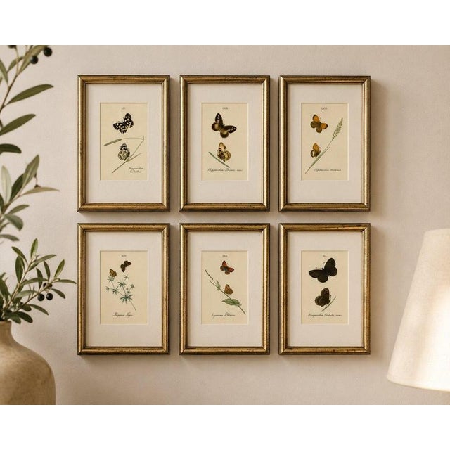 Cabinet-size british butterfly engravings by jardine & lizars, 1835 this charming set of six hand-colored butterfly...