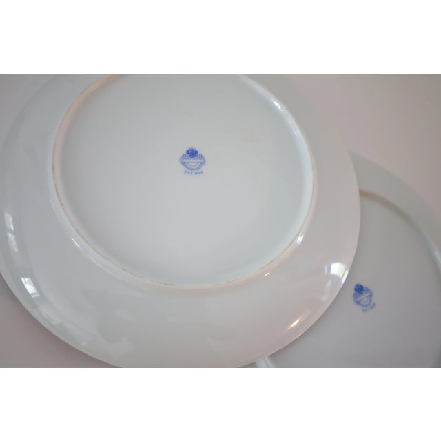 Royal Stafford Vintage Royal Staffordshire Rooster & Hen Plates by H. Rajot – Set of 2 Hand-Painted Barnyard Wall Décor or Serving Plates For Sale - Image 4 of 7
