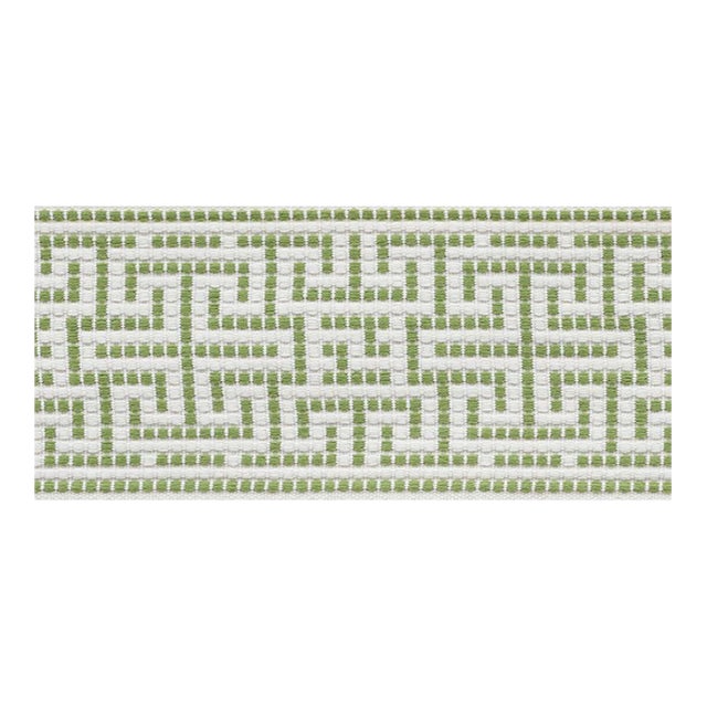 Sample - Schumacher Maze Tape Indoor & Outdoor in Leaf For Sale