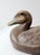 1950s General Fibre Ariduk Mallard Hen Duck Decoy For Sale - Image 15 of 16