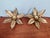 Floral Brass Wall Sconces by Willy Daro for Massive, 1970, Set of 2 For Sale - Image 11 of 14