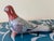 Mexican 20th Century Mexican Folk Art Hand-Painted Tonalá Bird For Sale - Image 3 of 13