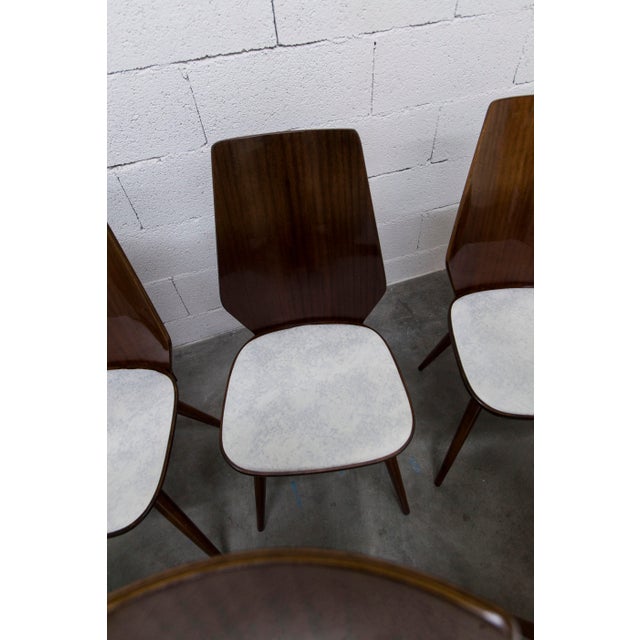 1970s Baumann Model 840 G2S Chairs in Varnished Mahogany Finish, 1963, Set of 6 For Sale - Image 5 of 18