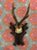 Rustic Antique Black Forest Roe Deer Trophy Antler Mount For Sale - Image 3 of 11