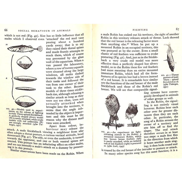 White "Social Behaviour in Animals With Special Reference to Vertebrates" 1965 Tinbergen, N. For Sale - Image 8 of 11