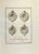 Pompeian Style Oil Lamps from "Antiquities of Herculaneum" is an etching on paper realized by Marcantonio Iacomino in the...
