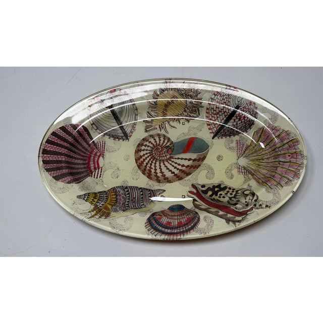John Derian Signed Nautilus Seashell Decoupage Glass Platter 14” For Sale - Image 4 of 8