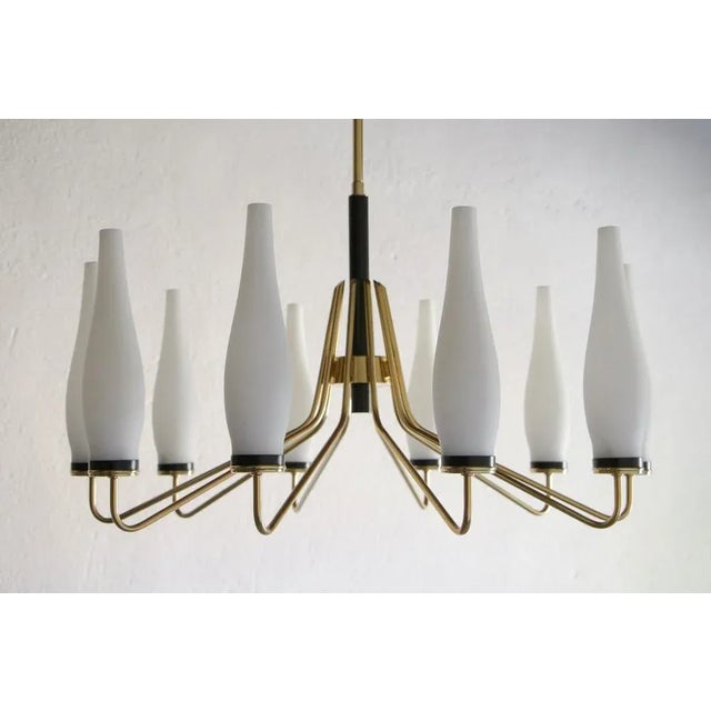 Mid-Century Modern Italian Mid-Century Modern Ten Light Chandelier Attributed to Stilnovo, 1950s For Sale - Image 3 of 18