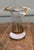 Hand Blown Hand Painted French Aesthetic Movement Art Glass Vase A lovey old vase, this has a very unusual sliced rim, it...