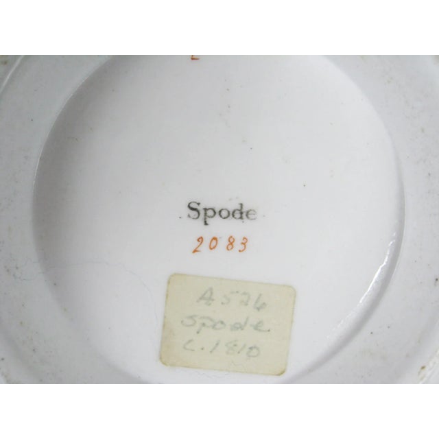 18c Josiah Spode Peacock Bowl - England For Sale - Image 12 of 12
