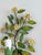 Mid-Century Modern French Tole Painted Daisy Floral Wall Sconces, 1970, Set of 2 For Sale - Image 3 of 18