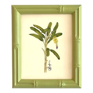 Original Hand Painted Banana Palm Tree in a Hand-Painted Frame For Sale