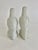 Vintage Blanc De Chine Porcelain Parrots - A Pair For Sale In Los Angeles - Image 6 of 7