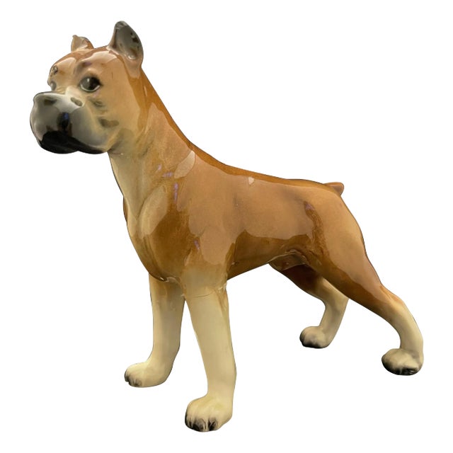 German Porcelain Figure of a Boxer Dog, Early 20th Century For Sale