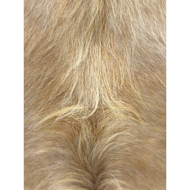 18” X 18” Premium Colombian Champagne Long-Haired Cowhide Pillow Cover - Handcrafted by Pablo Sota Designs For Sale - Image 10 of 11