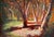 Circle of Trees by Christopher Clark | Oil on Panel Depiction of trees in a sunlit forest. For Sale